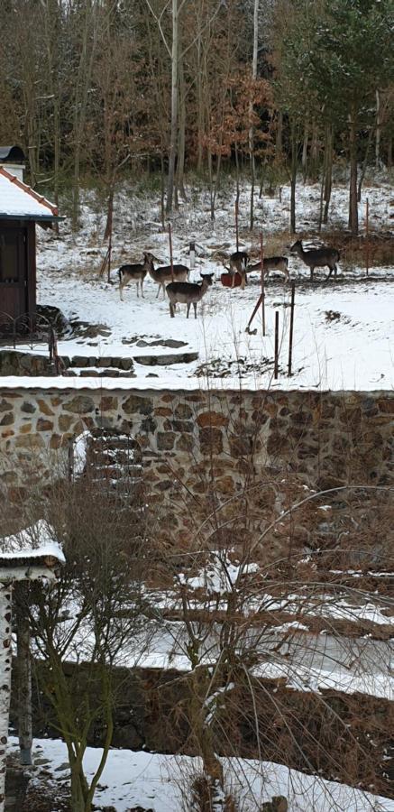 Hajovna *