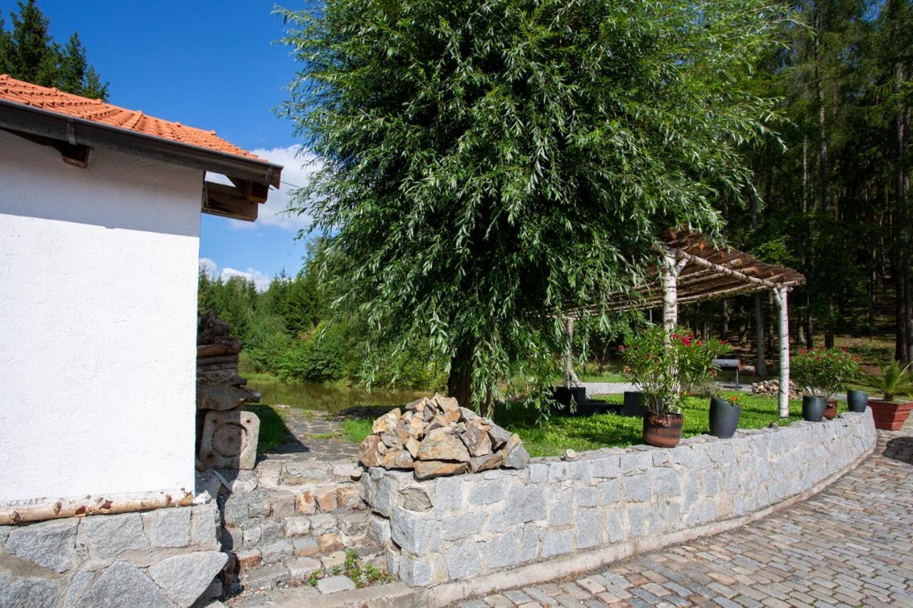 Ferienhaus Hajovna